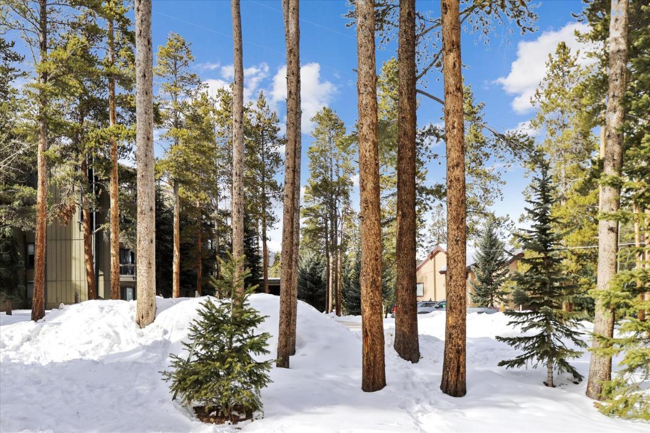 Park Forest Estates Breckenridge Bagian luar foto